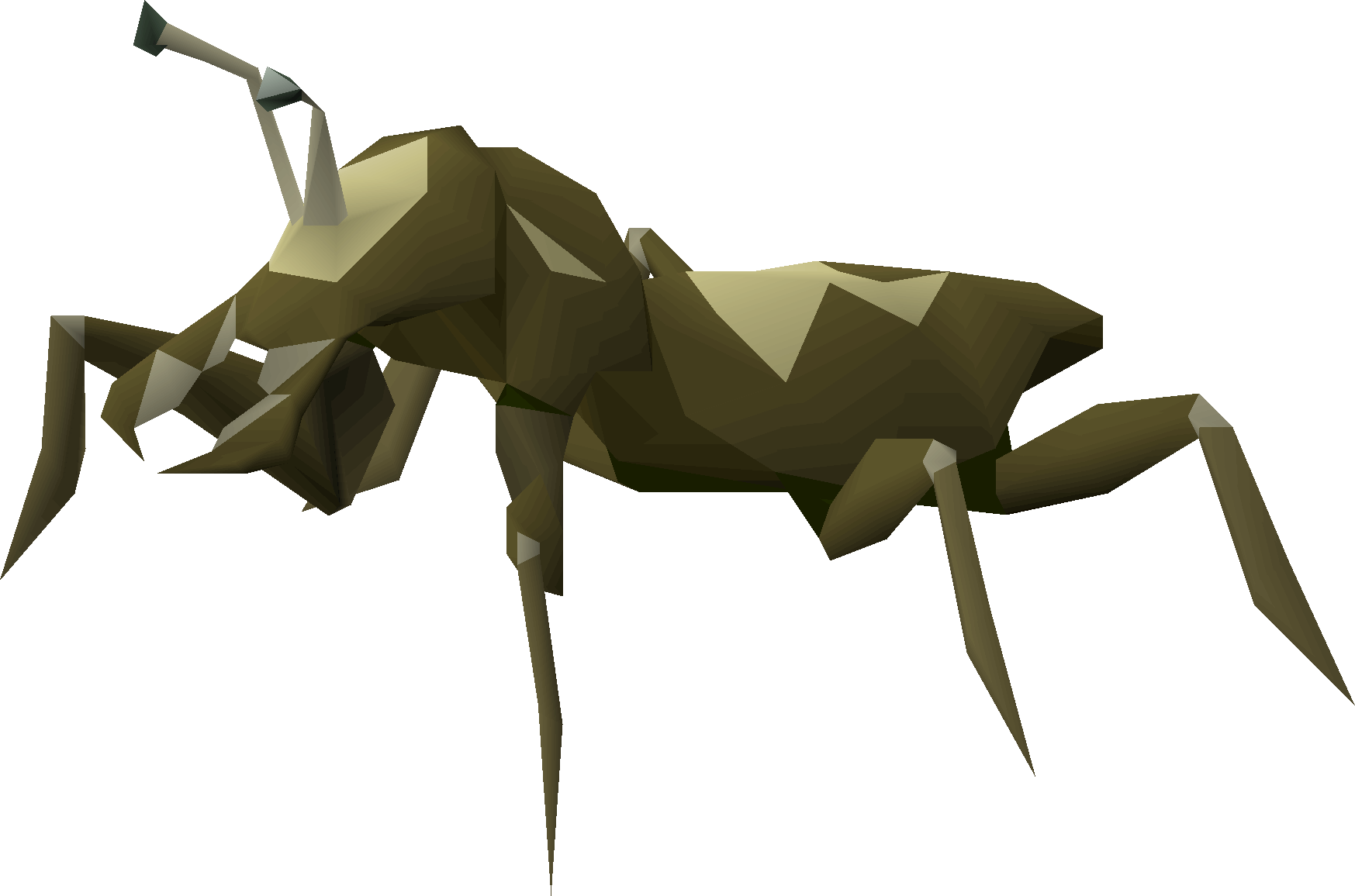 Cave bug